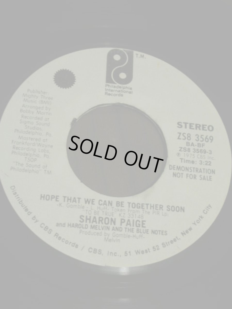 画像1: SHARON PAIGE♪HOPE THAT WE CAN BE TOGETHER SOON♪ (1)