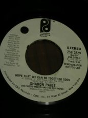 画像1: SHARON PAIGE♪HOPE THAT WE CAN BE TOGETHER SOON♪ (1)