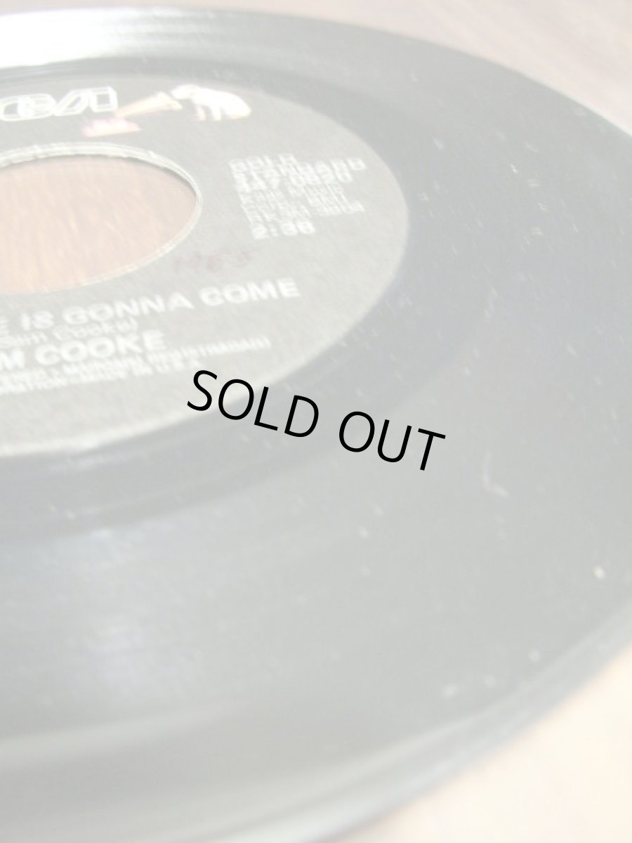 画像3: SAM COOKE♪CHANGE IS GONNA COME♪ (3)