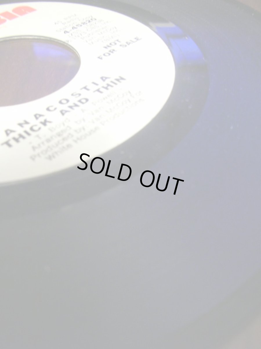 画像3: ANACOSTIA♪THICK AND THIN♪ (3)