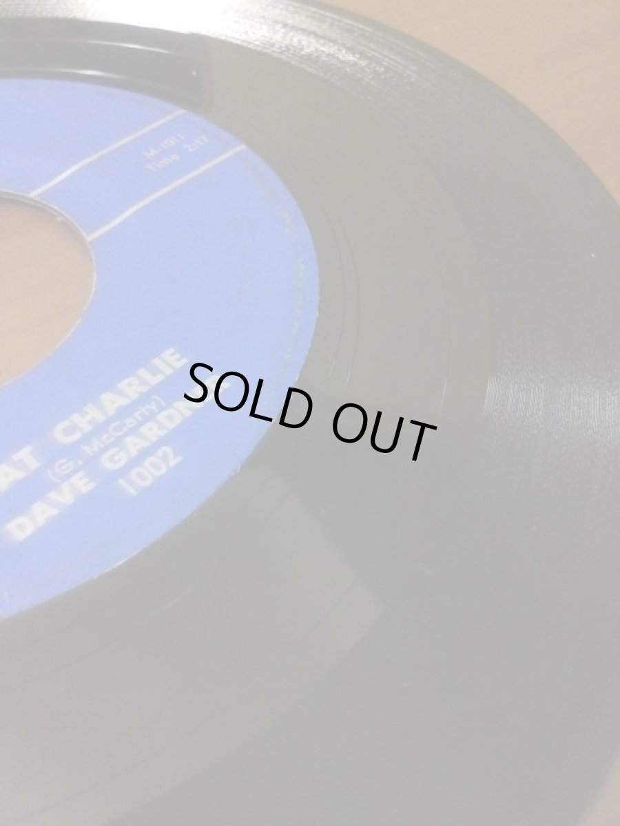 画像3: DAVE GARDNER♪FAT CHARLIE♪ (3)