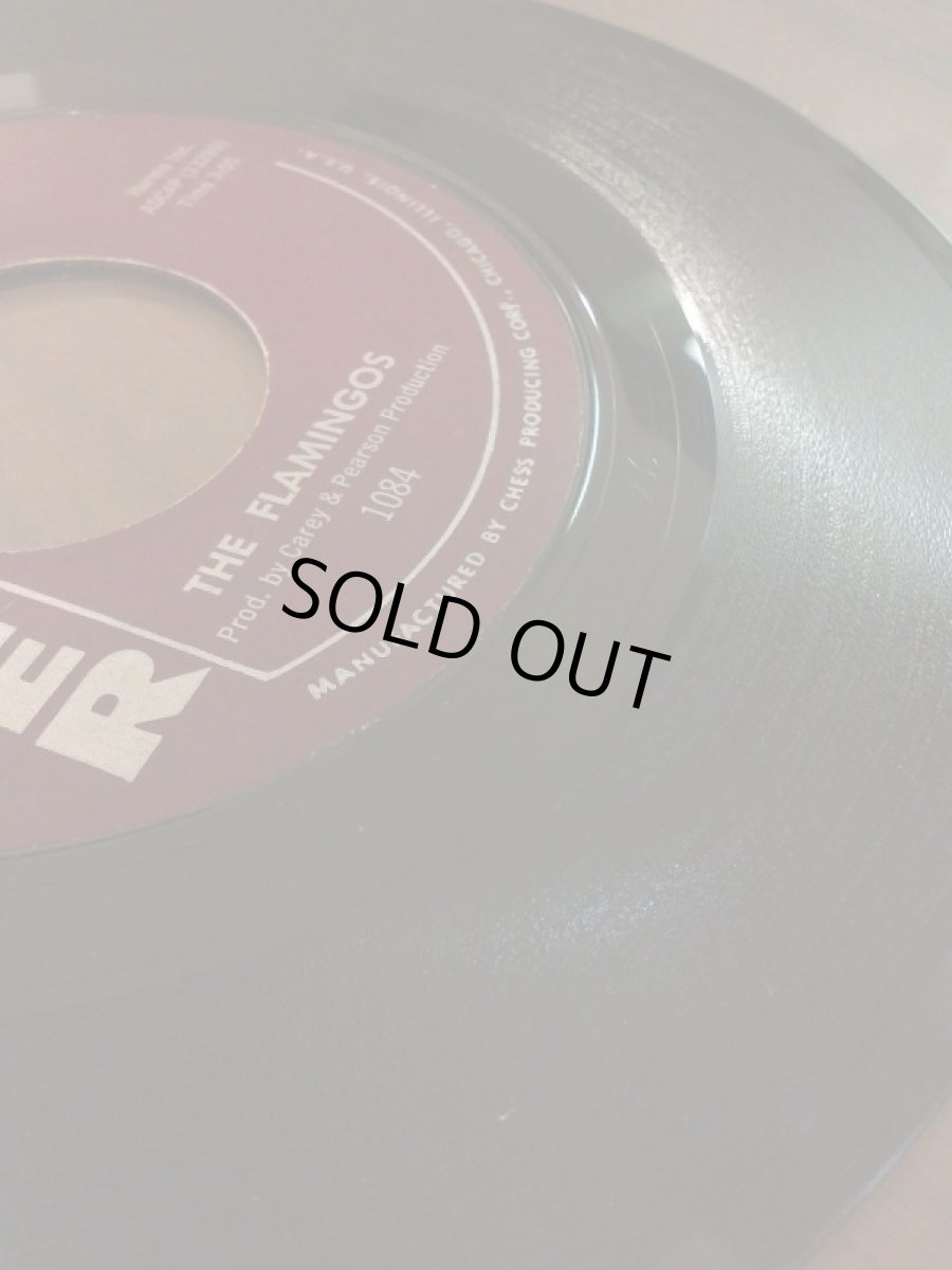 画像3: FLAMINGOS♪LOVER COME BACK TO ME♪ (3)