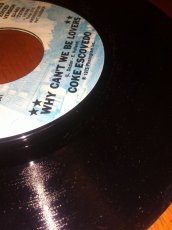 画像3: COKE ESCOVEDO♪WHY CAN'T WE BE LOVERS♪ (3)