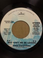 画像2: COKE ESCOVEDO♪WHY CAN'T WE BE LOVERS♪ (2)
