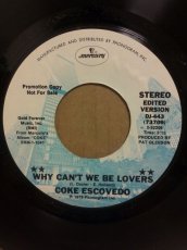 画像1: COKE ESCOVEDO♪WHY CAN'T WE BE LOVERS♪ (1)