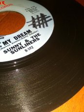 画像3: SUNNY & THE SUNLINERS♪MY DREAM♪ (3)
