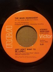 画像1: MAIN INGREDIENT♪JUST DON'T WANT TO BE LONELY♪ (1)