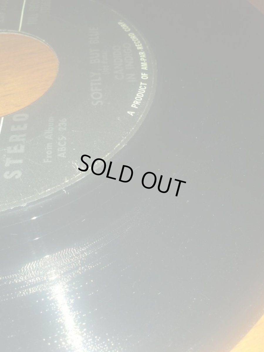 画像3: CANDID♪SOFTLY BUT BLUE♪ (3)