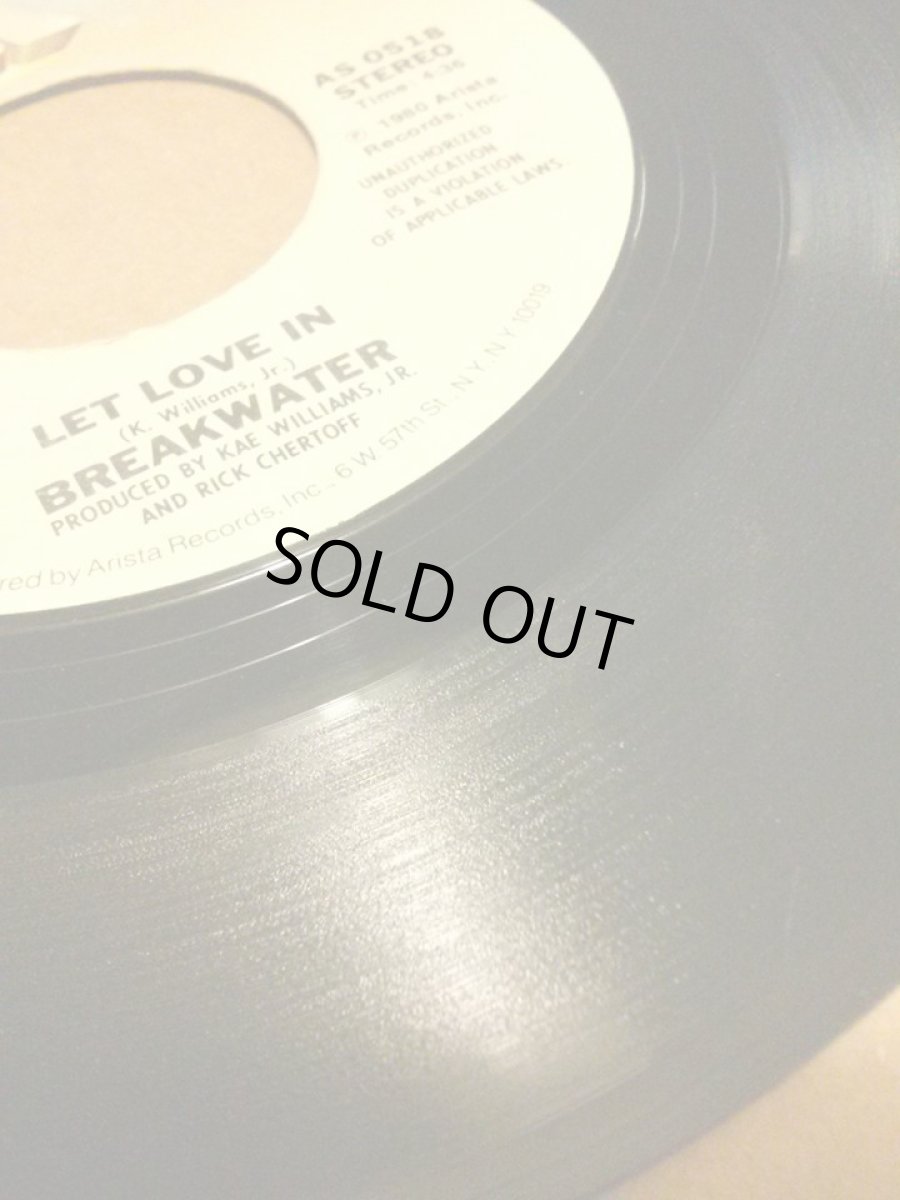 画像3: BREAKWATER♪LET LOVE IN♪ (3)