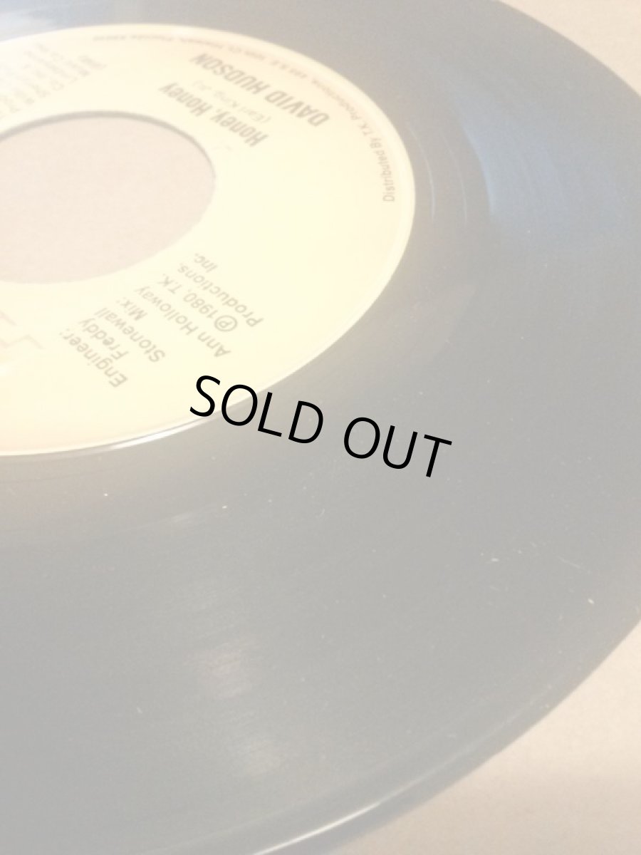 画像3: DAVID HUDSON♪HONEY, HONEY♪ (3)