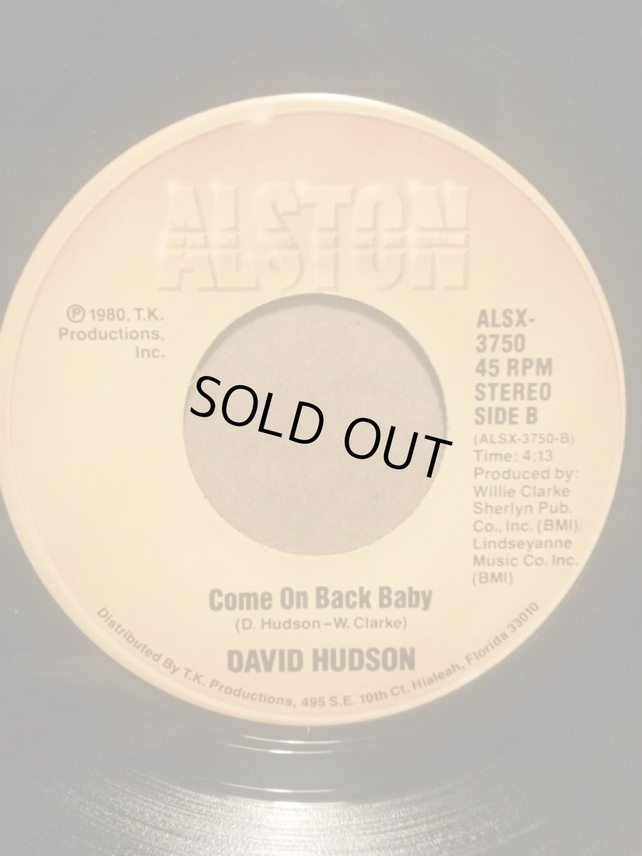 画像2: DAVID HUDSON♪HONEY, HONEY♪ (2)