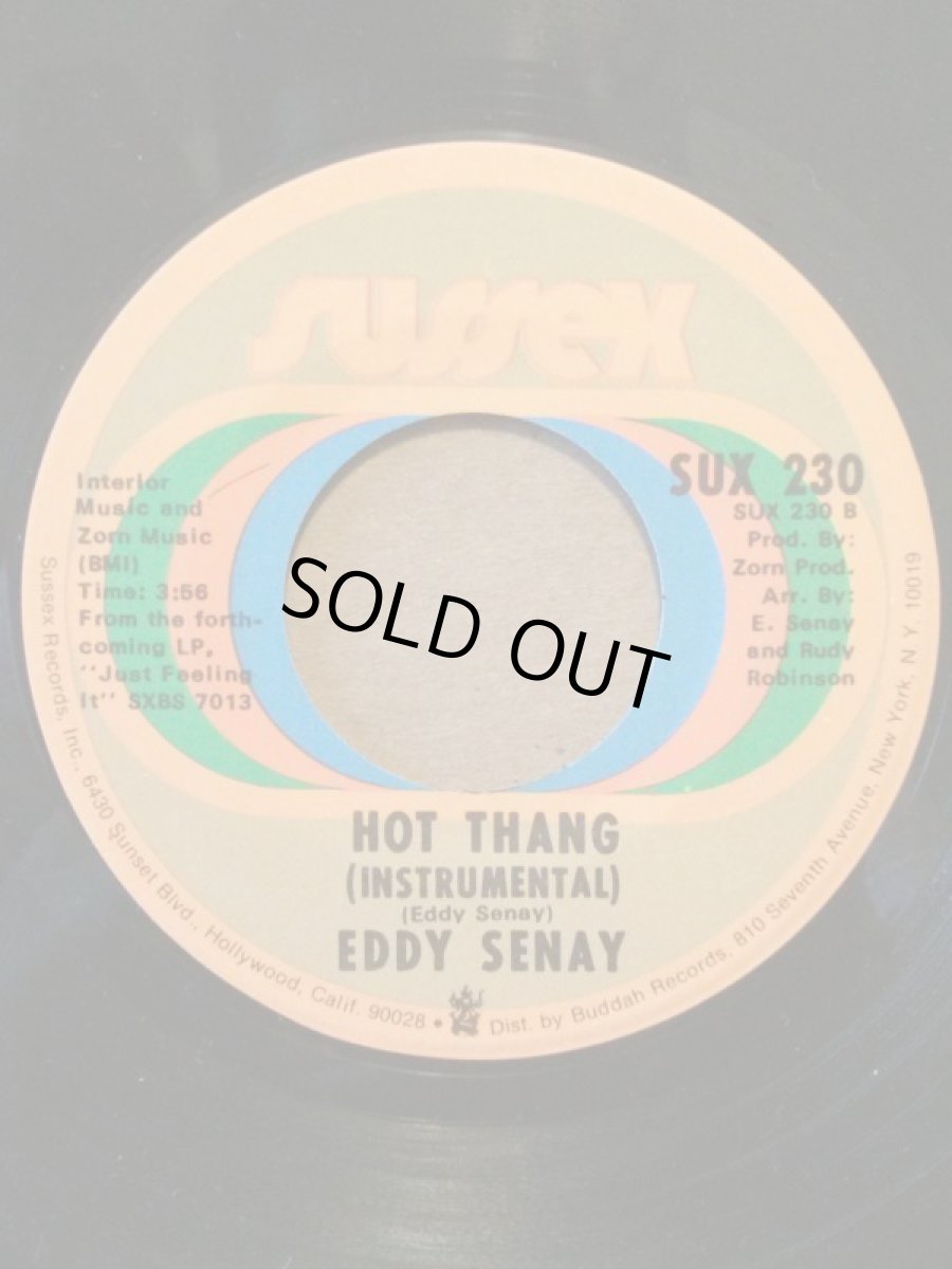 画像2: EDDY SENAY♪AIN'T NO SUNSHINE♪ (2)