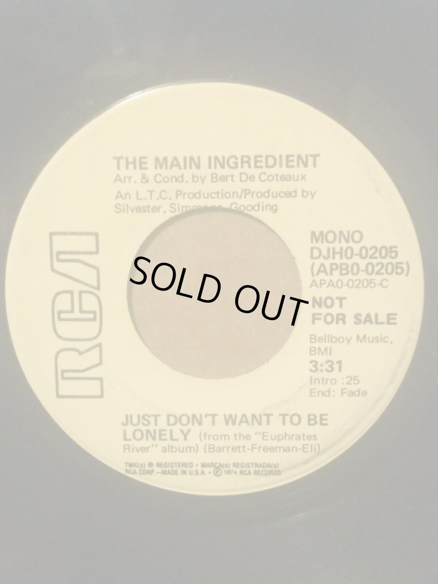 画像2: MAIN INGREDIENT ♪JUST DON'T WANT TO BE LONELY♪ (2)