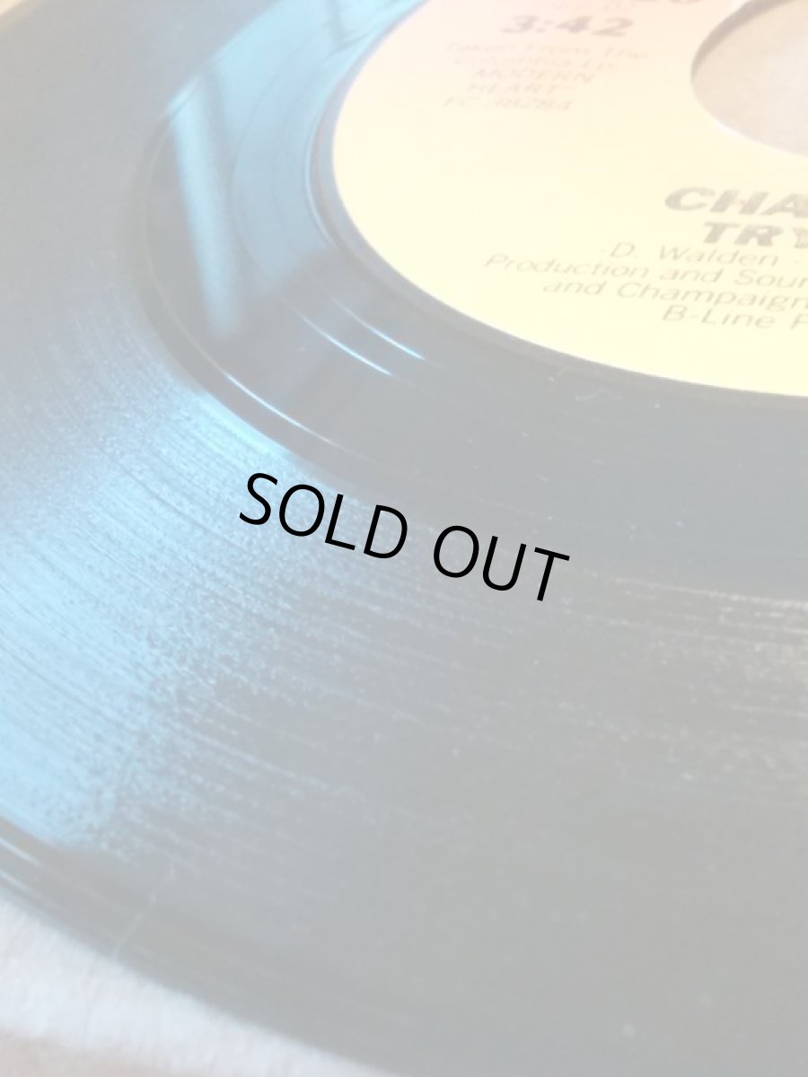 画像3: PAUL MCCARTNEY (with STEVIE WONDER) ♪EBONY AND IVORY♪ (3)