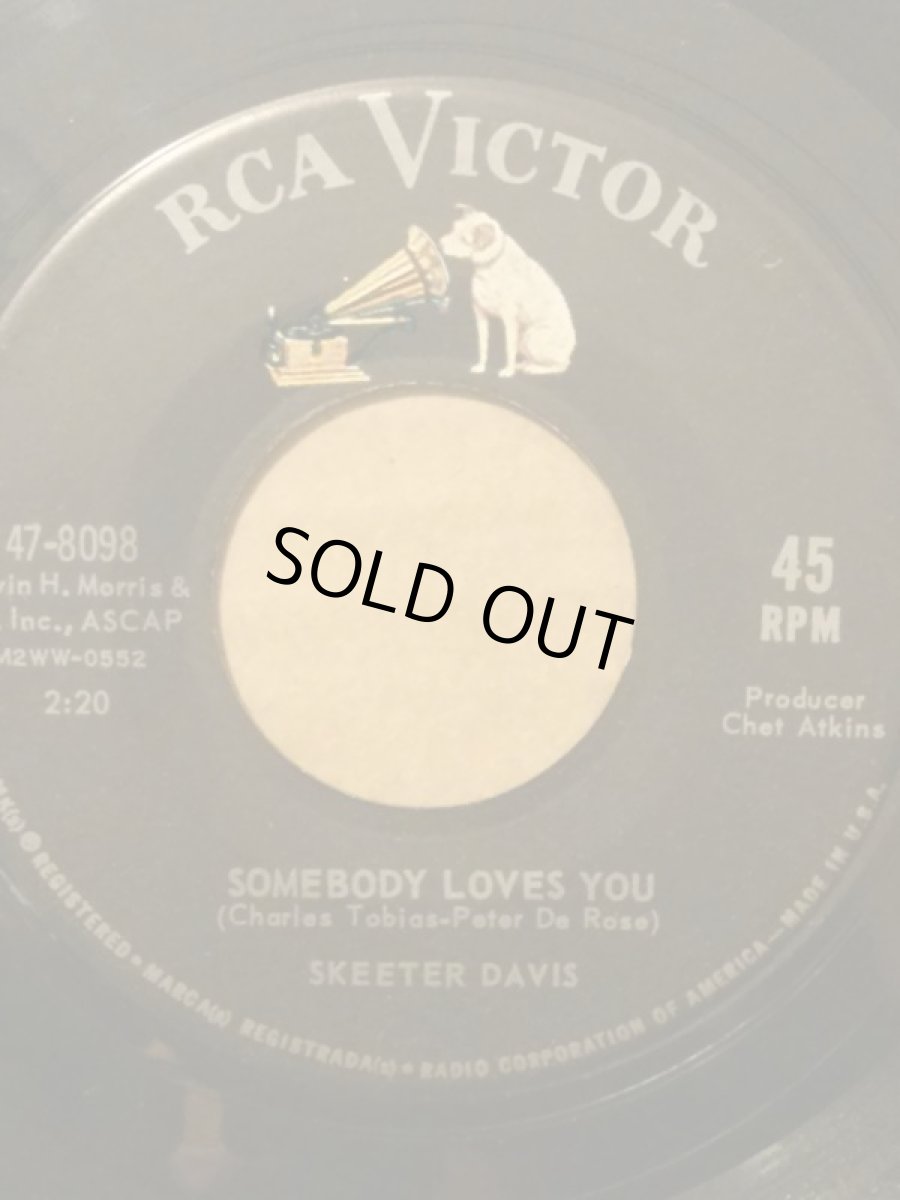 画像2: SKEETER DAVIS ♪END OF THE WORLD♪ (2)