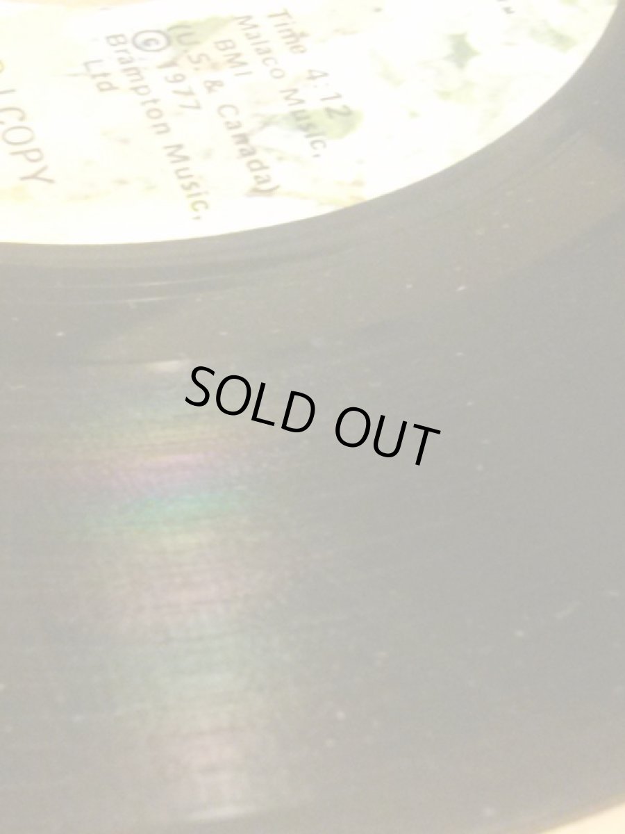 画像3: FERN KINNEY ♪TOGETHER WE ARE BEAUTIFUL♪ (3)