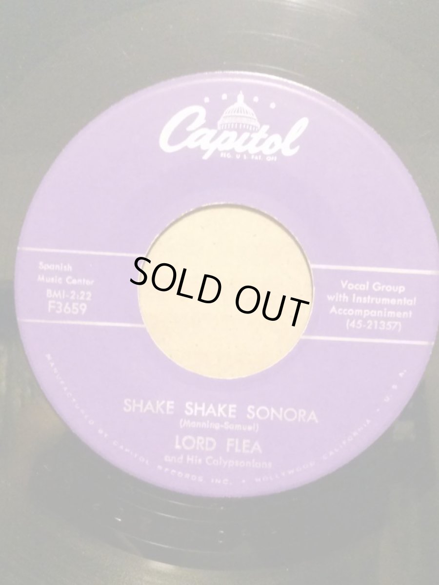 画像2: LORD FLEA  ♪SHAKE SHAKE SONORA♪ (2)