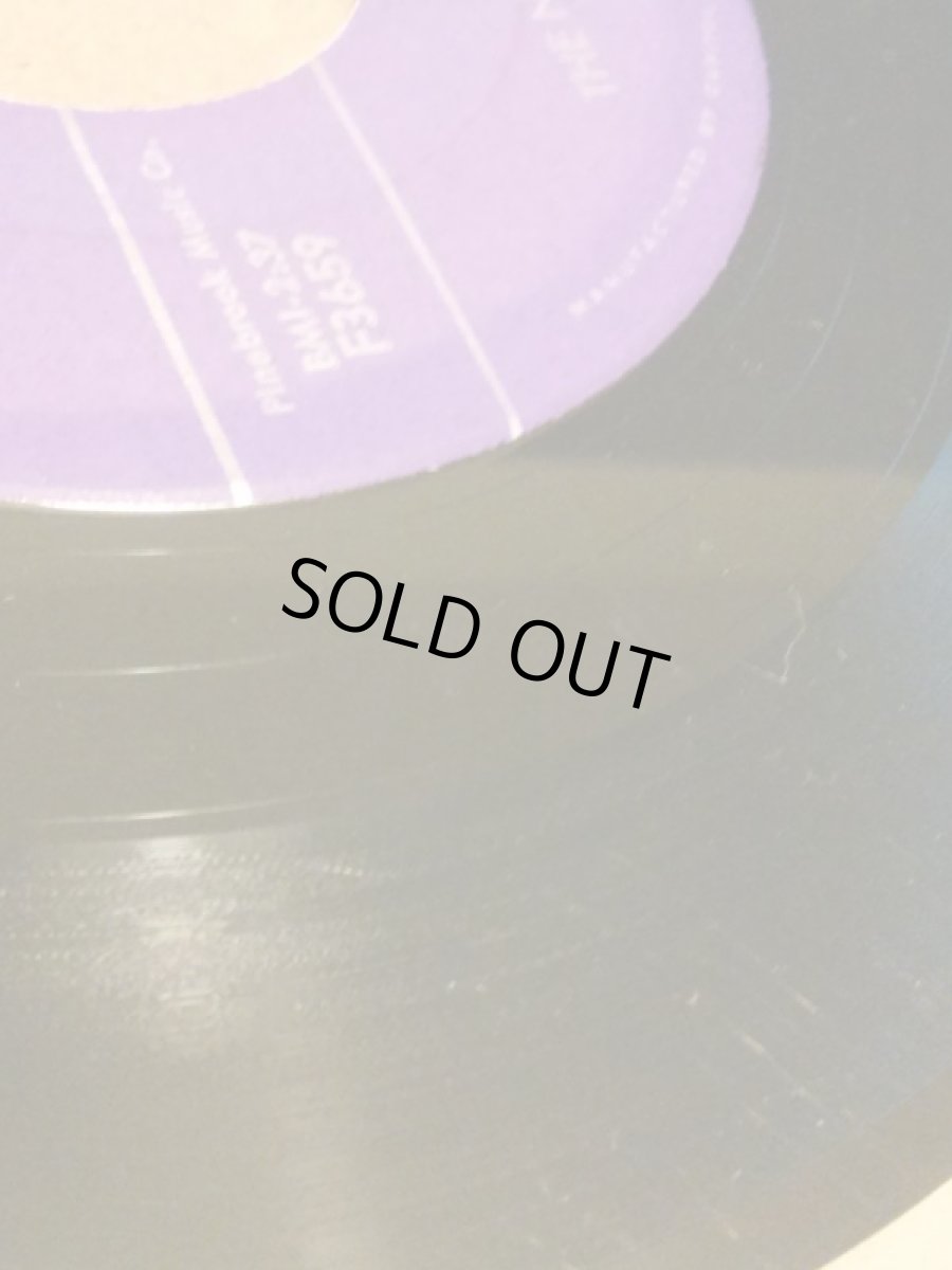 画像3: LORD FLEA  ♪SHAKE SHAKE SONORA♪ (3)