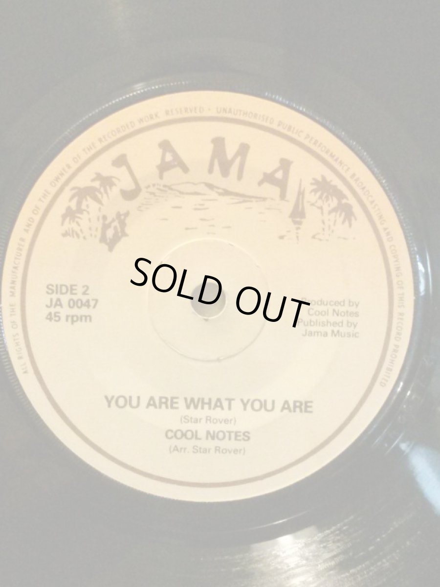 画像2: COOL NOTES  ♪ MY TUNE ♪ (2)