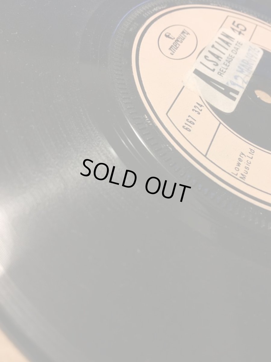 画像3: JAMES ＆ BOBBY PURIFY ♪ I'M YOUR PUPPET ♪ (3)