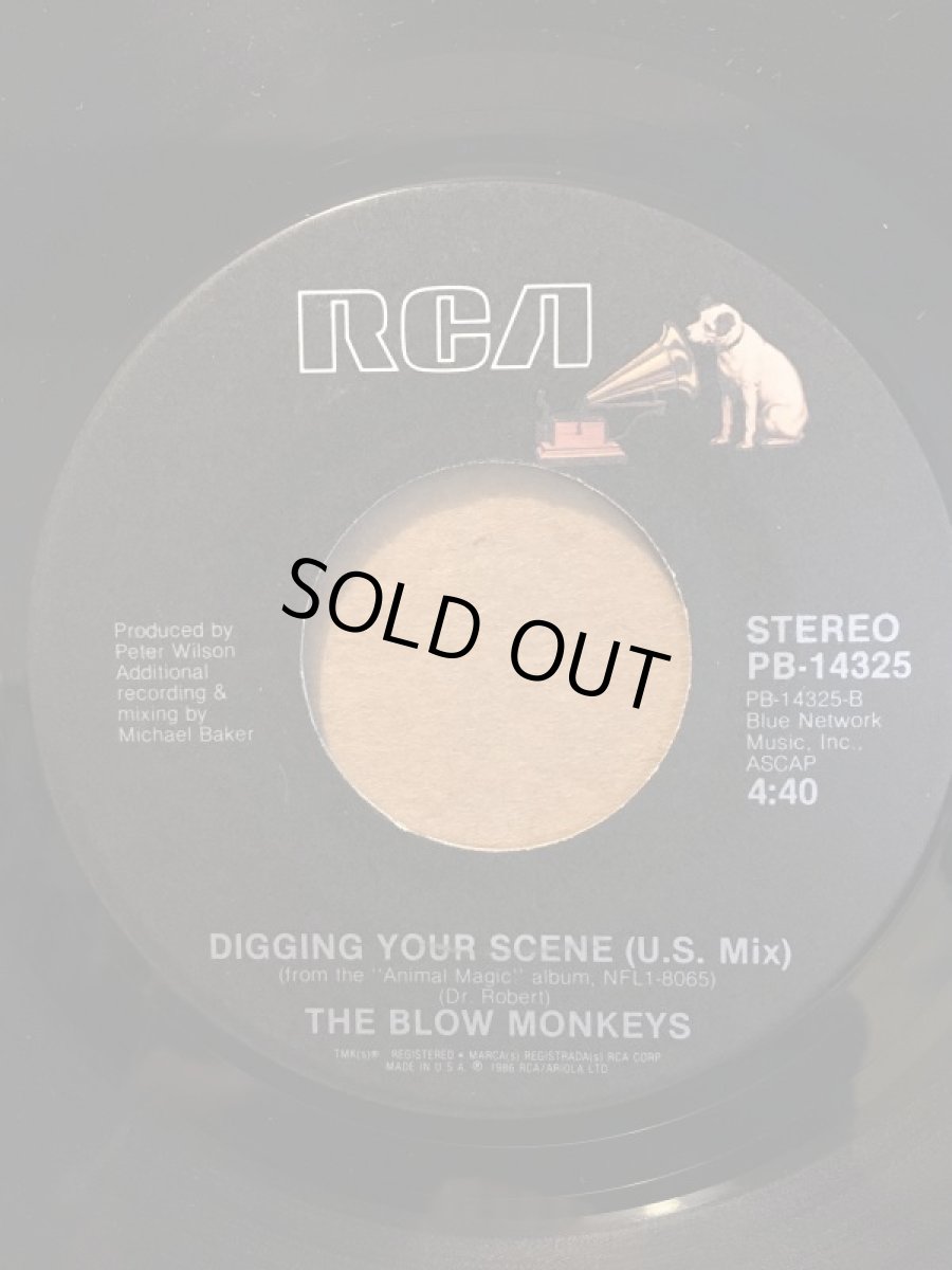 画像2: BLOW MONKEYS ♪ DIGGING YOUR SCENE ♪ (2)