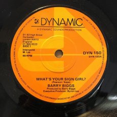 画像1: BARRY BIGGS  ♪ WHAT’S YOUR SIGN GIRL ♪ (1)