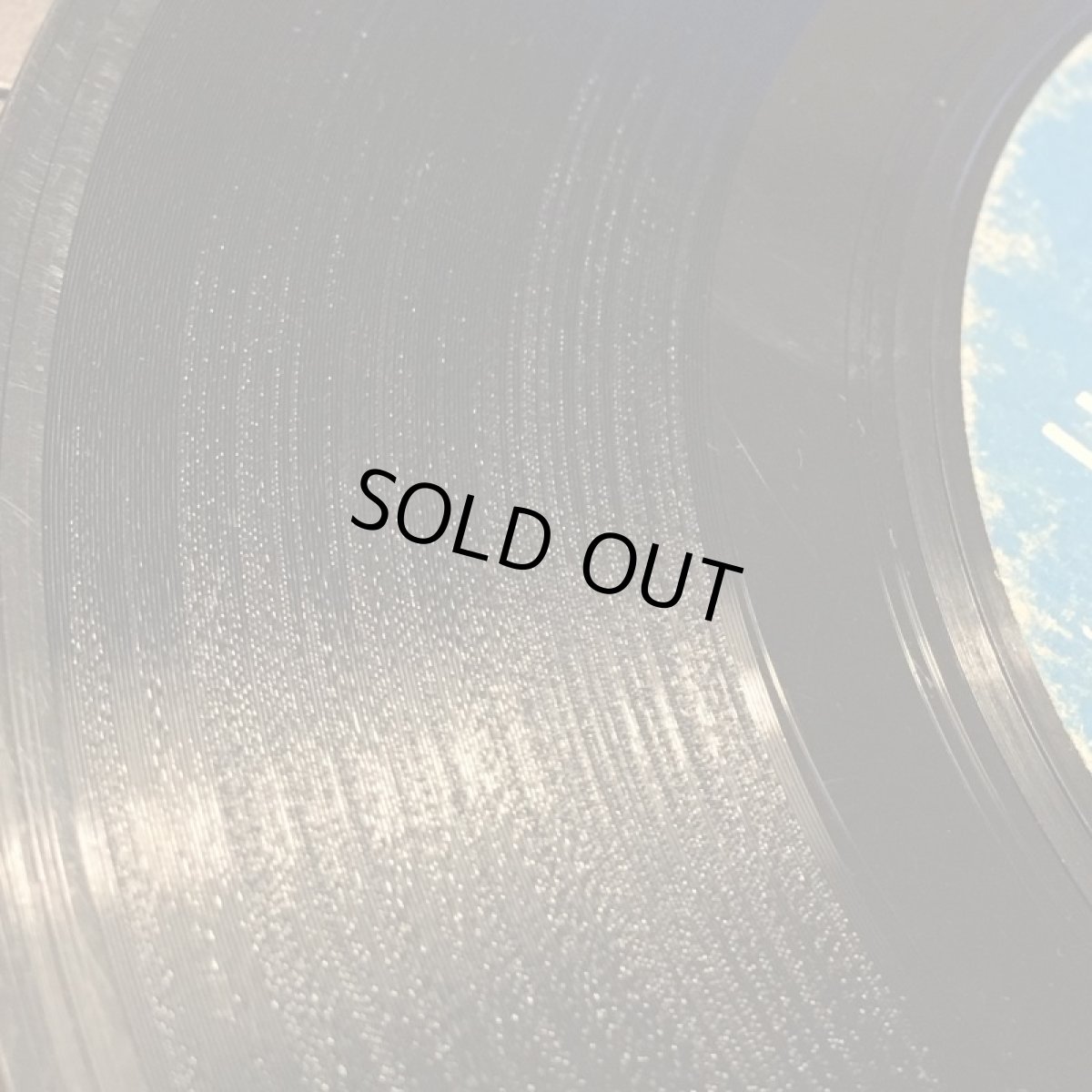 画像3: LOU DONALDSON ♪ PEEPIN ♪ (3)