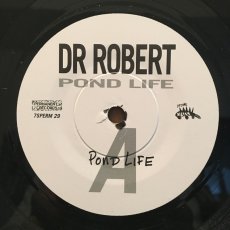 画像1: DR ROBERT ♪ POND LIFE ♪ (1)
