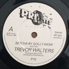 画像2: TREVOR WALTERS  ♪ BETCHA BY GOLLY WOW ♪ (2)