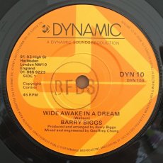 画像1: BARRY BIGGS  ♪ WIDE AWAKE IN A DREAM ♪ (1)