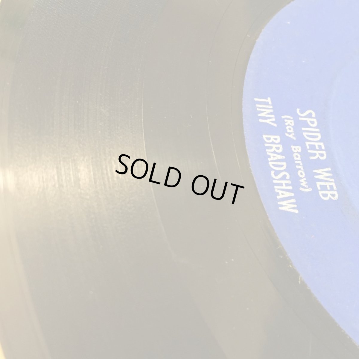 画像3: TINY BRADSHAW ♪ SPIDER WEB ♪ (3)