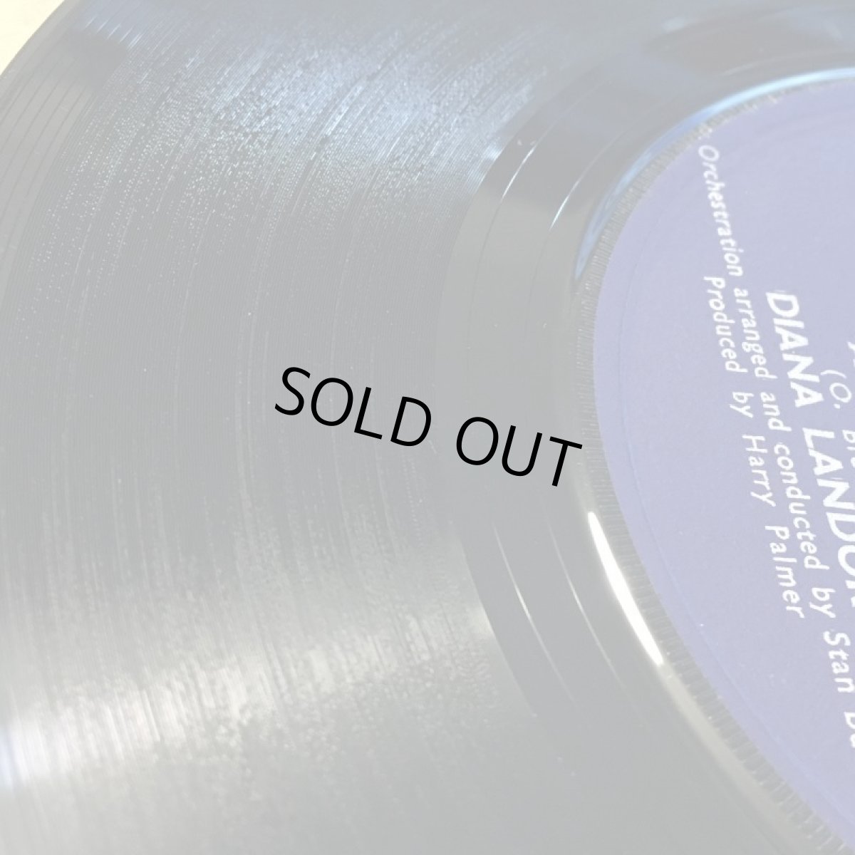 画像3: DIANA LANDOR  ♪ AFRO BLUE ♪ (3)