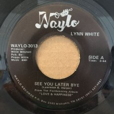 画像1: LYNN WHITE ♪ SEE YOU LATER BYE ♪ (1)