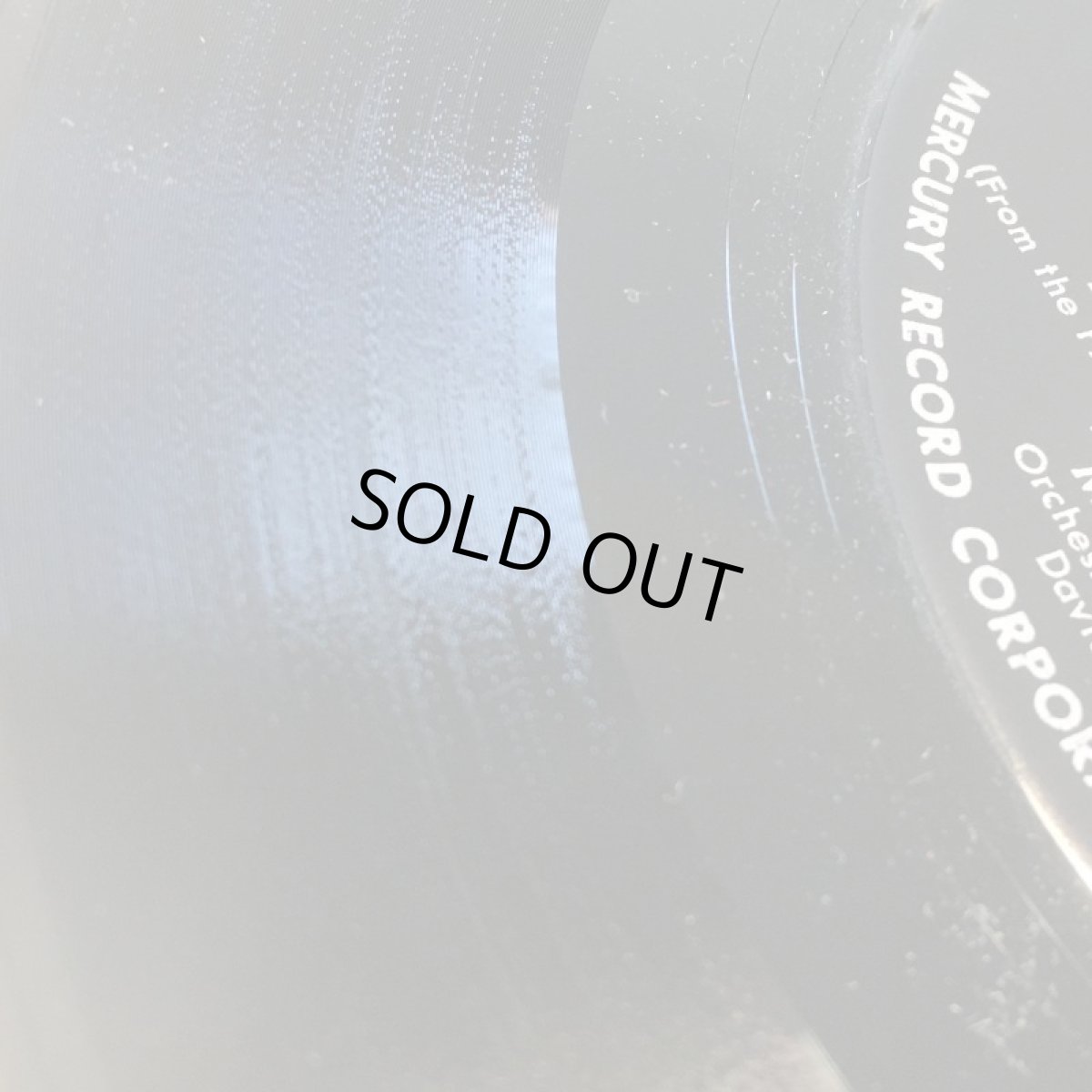 画像3: MIYOSHI UMEKI ♪ THE LITTLE LOST DOG ♪ (3)