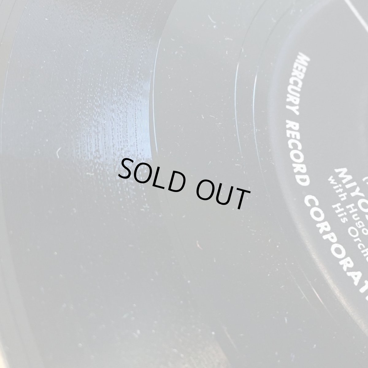 画像3: MIYOSHI UMEKI ♪ WHY TALK ♪ (3)