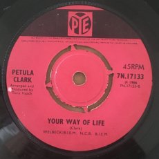 画像2: PETULA CLARK ♪ I COULDN'T LIVE WITHOUT YOUR LOVE ♪ (2)