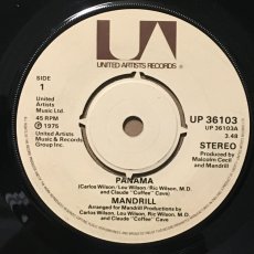 画像1: MANDRILL ♪ PANAMA ♪ (1)
