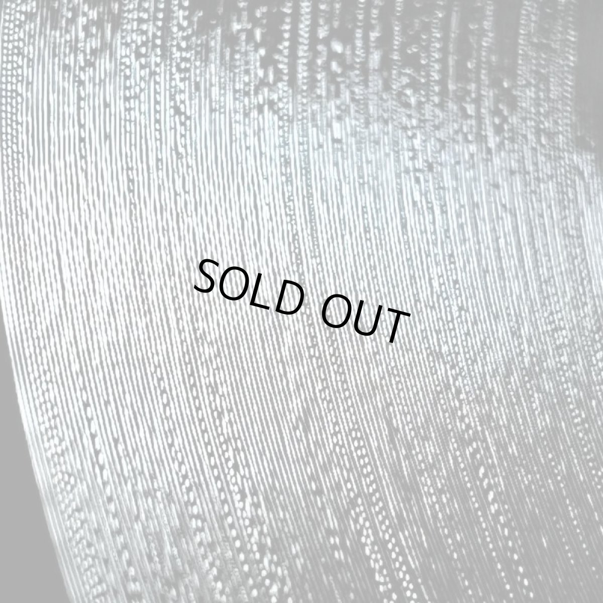 画像3: BOBBY LEE ♪ I WAS BORN A LOSER ♪ (3)