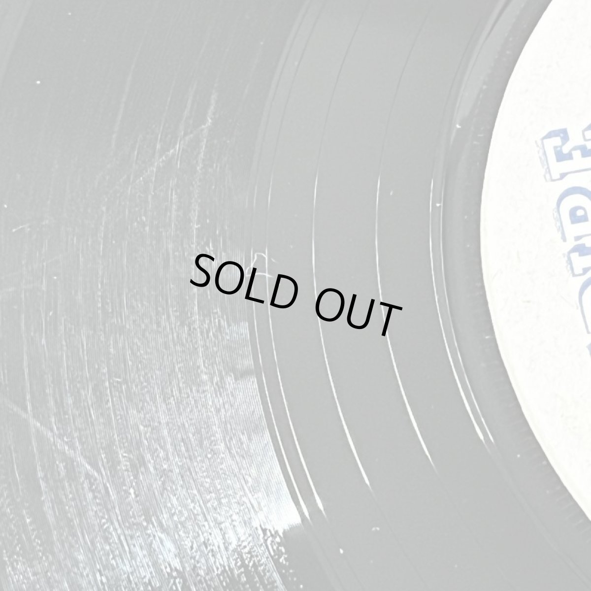 画像3: WINSTON CURTIS ♪PLEDGING MY LOVE ♪ (3)