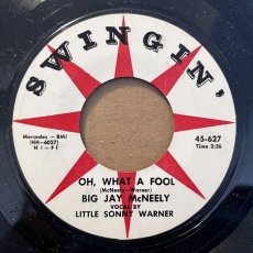 画像2: BIG JAY MCNEELY  ♪ I LOVE YOU OH DARLING  ♪ (2)