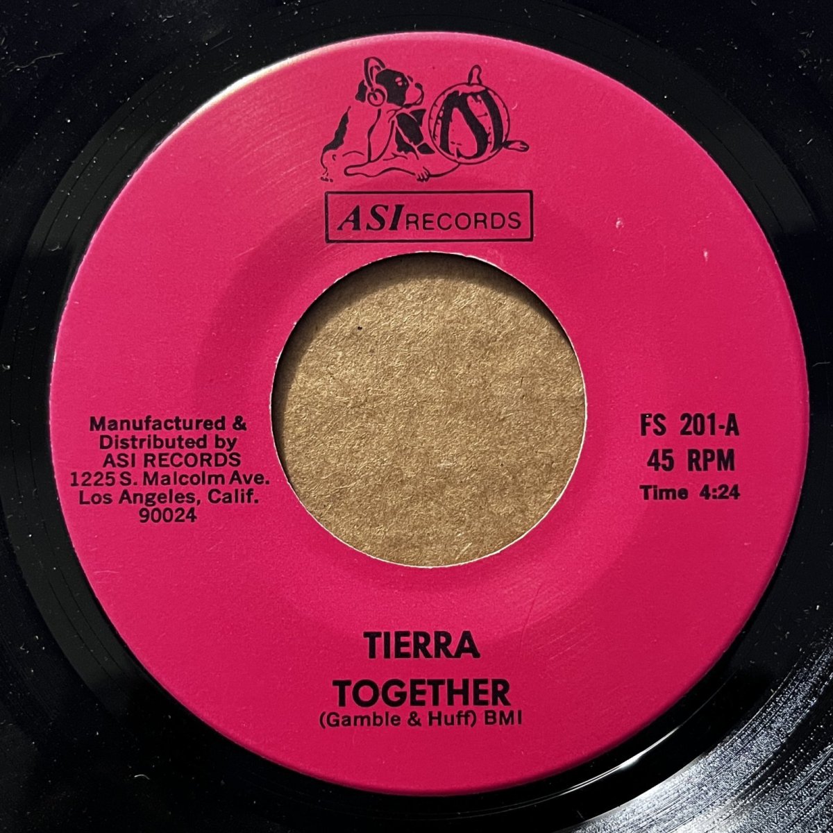 画像1: TIERRA ♪ TOGETHER ♪ (1)