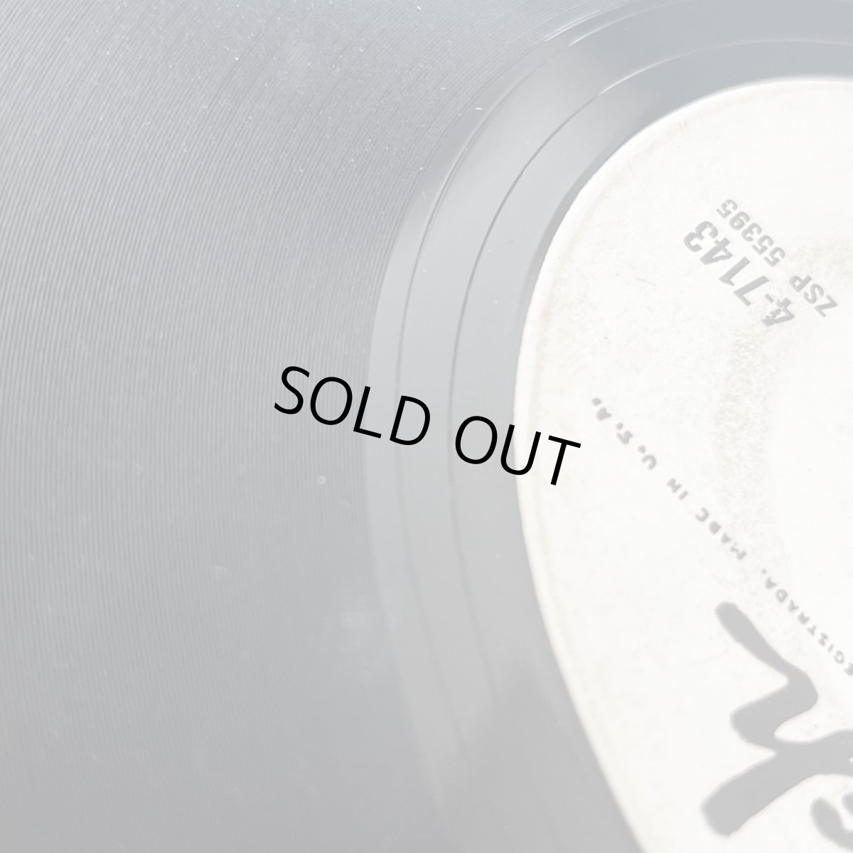 画像3: SUNNY OZUNA AND THE SUNGLOWS ♪ GOLLY GEE ♪ (3)