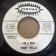 画像2: TIMMY WILLIS ♪ EASY AS SAYING 1-2-3 ♪ (2)