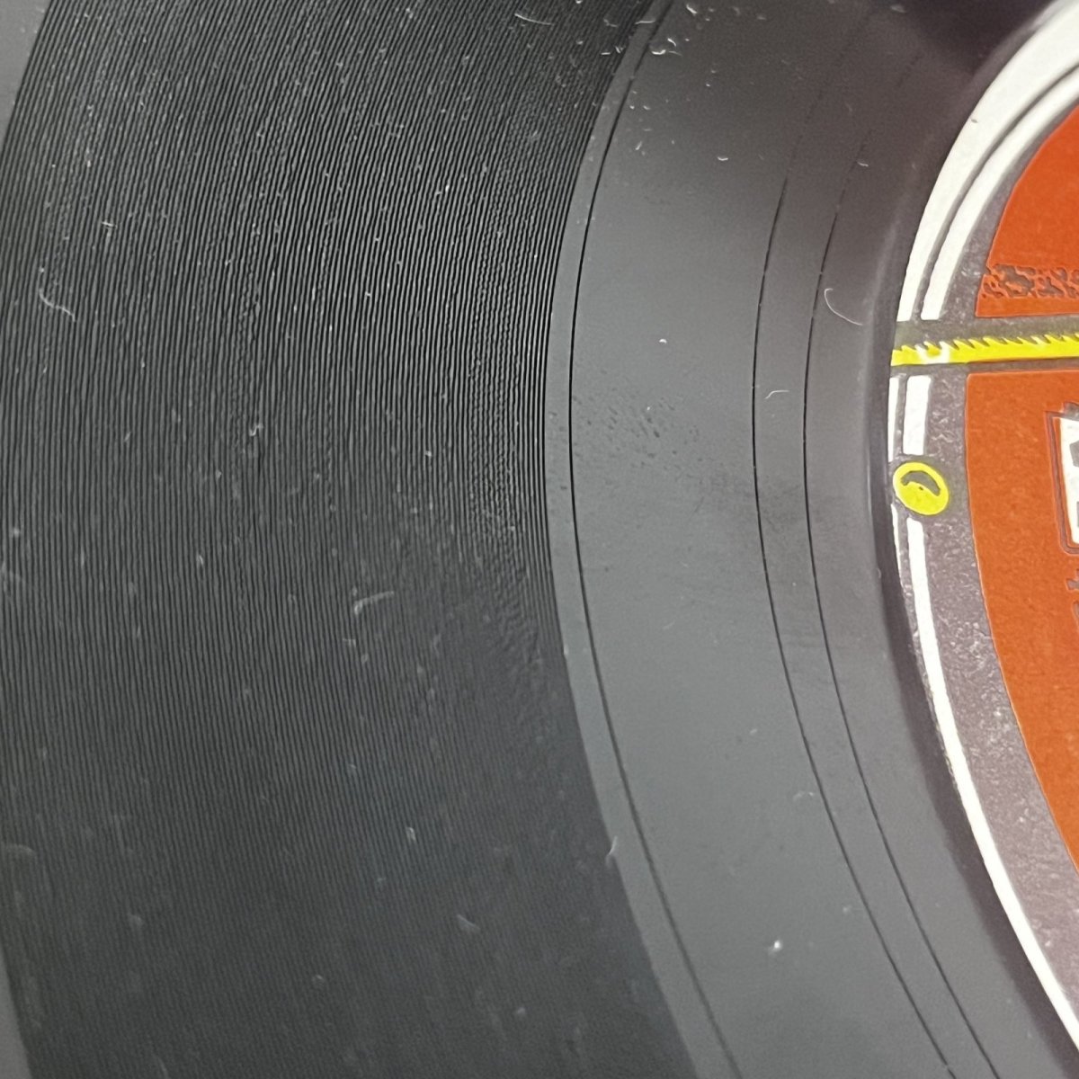 画像3: JOE HINTON ♪ TRUE LOVE ♪ (3)