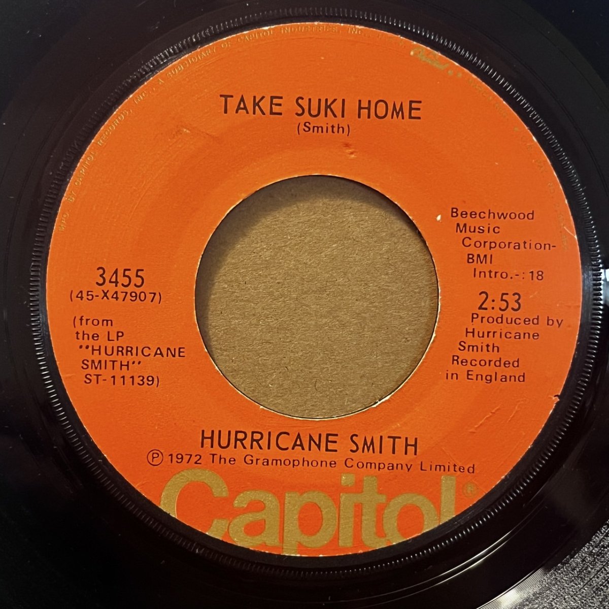 画像2: HURRICANE SMITH ♪ WHO WAS IT? ♪ (2)