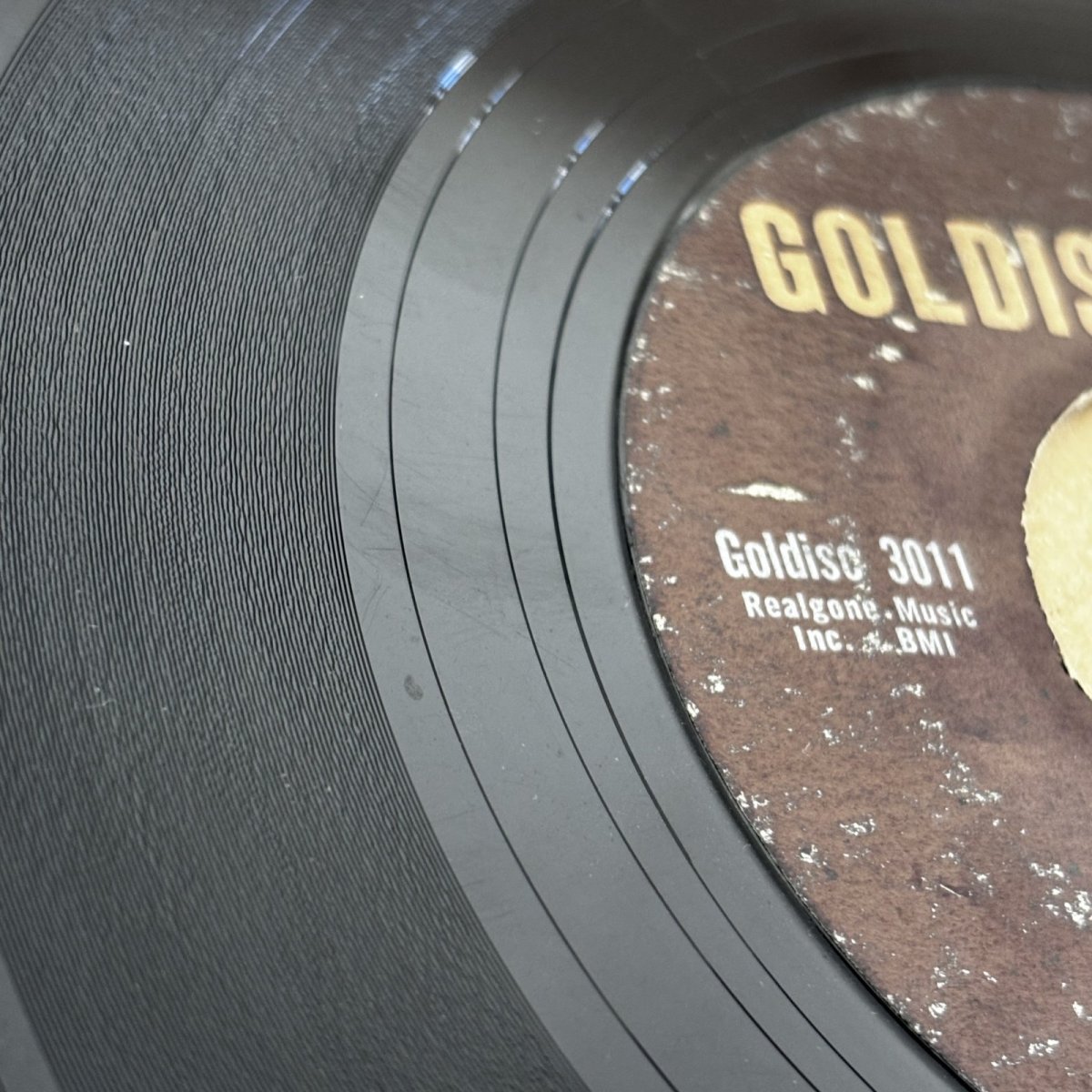 画像3: ROYALTONES ♪ FLAMINGO EXPRESS ♪ (3)