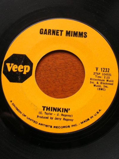 画像1: GARNET MIMMS♪IT'S BEEN SUCH A LONG WAY HOME♪