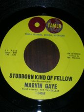 画像1: MARVIN GAYE♪STUBBORN KIND OF FELLOW♪ (1)