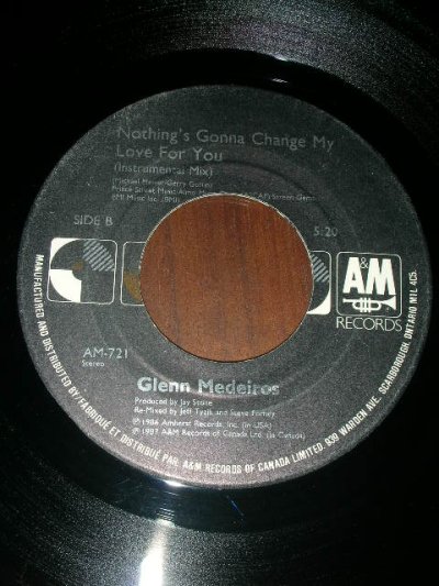 画像1: GLENN MEDEIROS♪NOTHING'S GONNA CHANGE MY LOVE♪