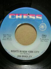 画像2: JAN BRADLEY♪NIGHTS IN NEW YORK CITY♪ (2)